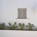 Apartment White W4 New In