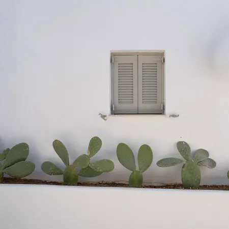 Apartment White W4 New In