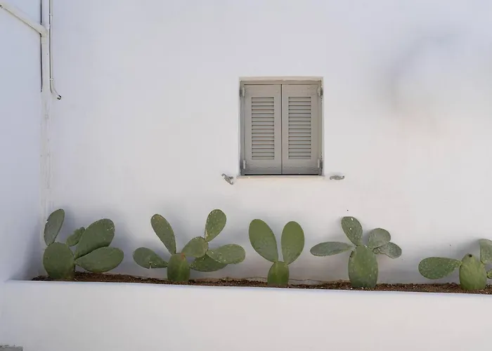 Apartman White W4 New In